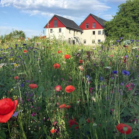 Ferienwohnung Bienenhaeusle In Gruenkraut / Ravensburg Grunkraut Dış mekan fotoğraf